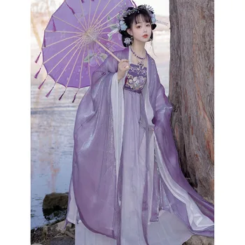 Китайская традиционная юбка Hanfu Cheko, древняя фея ветра Hanfu, женские элементы Han, весенне-летний костюм с двухслойным шелковым рукавом